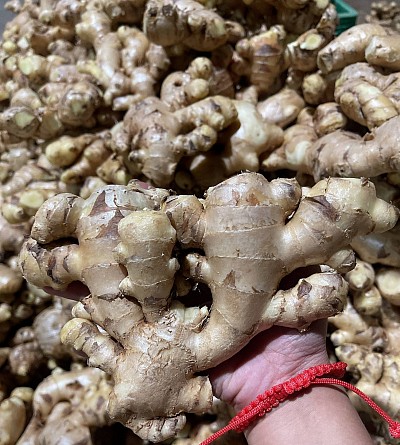 Fresh ginger